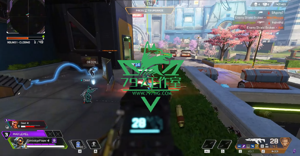 APEX【WTF】海外内部稳定多年无拉闸